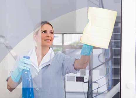 A South Carolina Service Contractor cleans a window